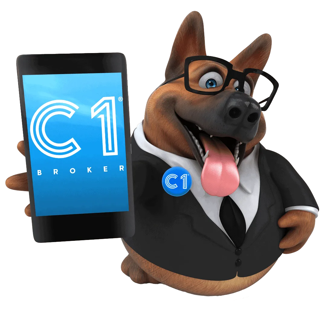 C1 Broker - Correduria de Seguros España - Seguros de Salud, Seguros de Casa, Hogar y Coche