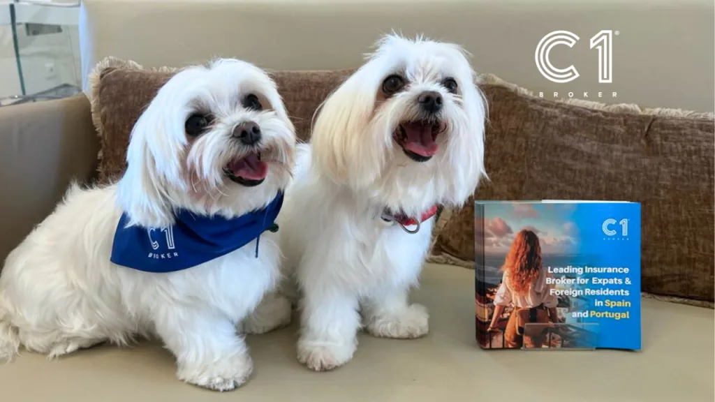 La nueva Ley Animal impone un seguro obligatorio para todos los perros - c1 broker - seguro de mascostas - mascotas - españa