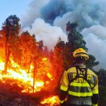 Un devastador incendio azota La Palma - La Palma - C1 Broker - Corredores de Seguros - España