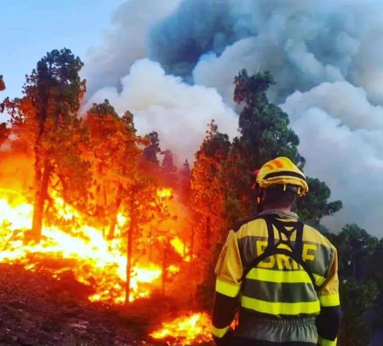 Un devastador incendio azota La Palma - La Palma - C1 Broker - Corredores de Seguros - España
