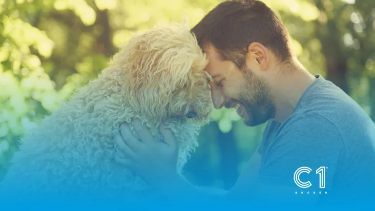 Asisa se Adapta a la Ley de Bienestar Animal Incluye Responsabilidad Civil en sus Seguros para Mascotas - C1 Broker - Seguros para mascotas