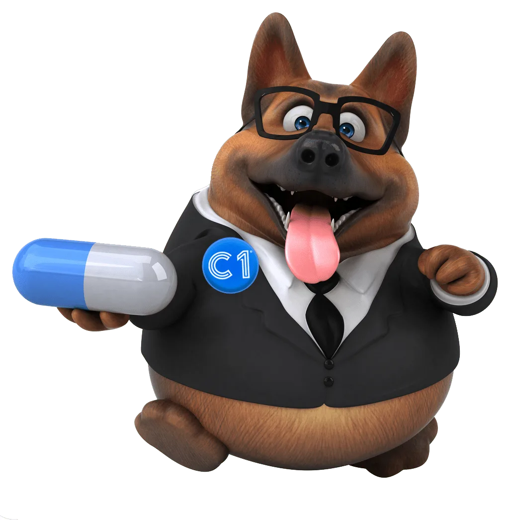 C1_BROKER_HUND_versicherungsmakler_krankenversicherung.png