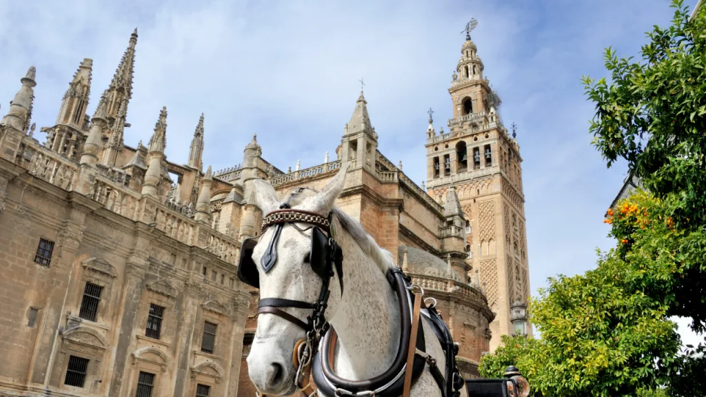 Centre of Seville Health Insurance Seville , C1 broker Spain