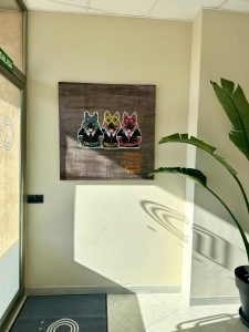 C1 Broker Mallorca, best insurance solutions in mallorca area